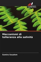 Samira SOUALEM - Meccanismi di tolleranza alla salinità