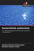 Zoraide Fonseca Costa, Gustavo Pereira Schier Junior - Sostenibilità ambientale