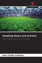 Ilmer Condor Espinoza - Sampling theory and practice