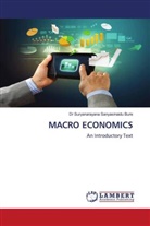 Dr Suryanarayana Sanyasinaidu Bure, Suryanarayana Sanyasinaidu Bure - MACRO ECONOMICS