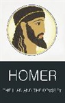 Homer, Tom Griffith - Iliad and the odyssey -the-