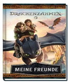 Panini - Drachenzähmen leicht gemacht (Live Action): Meine Freunde