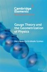 Henrique De Andrade Gomes, Henrique De Andrade (University of Oxford) Gomes - Gauge Theory and the Geometrisation of Physics