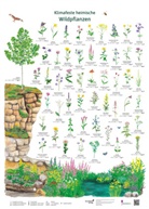 Dirk Krüger, Doris Schönhoff - Klimafeste heimische Wildpflanzen