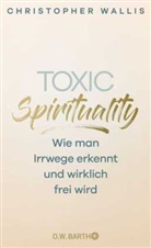 Christopher Wallis - Toxic Spirituality