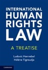 Ludovic Hennebel, Ludovic (Aix-Marseille University) Tigro Hennebel, Hennebel Ludovic, Hélène Tigroudja, Hélène Tigroundja - International Human Rights Law