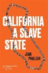 Jean Pfaelzer, Pfaelzer Jean - California, a Slave State