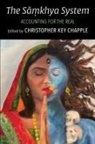Christopher Key Chapple, Christopher Key (EDT) Chapple, Christopher Key Chapple - Samkhya System