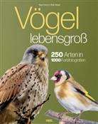 Bob Read, Paul Sterry - Vögel lebensgroß