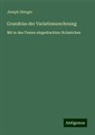 Joseph Dienger - Grundriss der Variationsrechnung