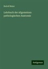 Rudolf Maier - Lehrbuch der allgemeinen pathologischen Anatomie