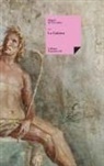 Miguel de Cervantes Saavedra, Florencio Sevilla Arroyo - La Galatea