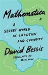 David Bessis - Mathematica