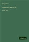 Georg Rosen - Geschichte der Türkei