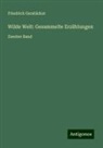 Friedrich Gerstäcker - Wilde Welt: Gesammelte Erzählungen