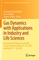 Mohammad Asadzadeh, Larisa Beilina, Shigeru Takata - Gas Dynamics with Applications in Industry and Life Sciences