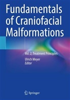 Ulrich Meyer - Fundamentals of Craniofacial Malformations