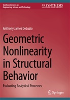 Anthony James DeLuzio - Geometric Nonlinearity in Structural Behavior