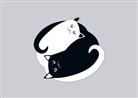 Postkarten Katzen Ying Yang