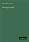 Friedrich Gerstäcker - Mississippi-Bilder