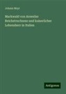Johann Mayr - Markwald von Anweiler Reichstruchsess und kaiserlicher Lehensherr in Italien
