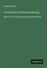 Joseph Dienger - Grundriss der Variationsrechnung