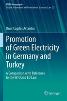 Onur Cagdas Artantas - Promotion of Green Electricity in Germany and Turkey