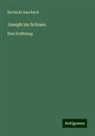 Berthold Auerbach - Joseph im Schnee