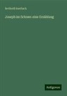 Berthold Auerbach - Joseph im Schnee: eine Erzählung