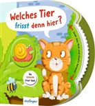 Anja Kiel, Andy Rowland - Dreh das Rad und find´s heraus!: Welches Tier frisst denn hier?
