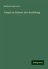 Berthold Auerbach - Joseph im Schnee: eine Erzählung