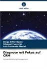 Diego Eifler Bagio, Silvonei Fusverki, Lui Maciel, Luiz Fernando Maciel - Diagnose mit Fokus auf CRM