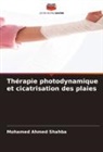 Mohamed Ahmed Shahba - Thérapie photodynamique et cicatrisation des plaies