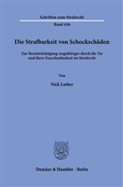 Nick Luther - Die Strafbarkeit von Schockschäden
