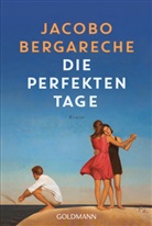 Jacobo Bergareche - Die perfekten Tage