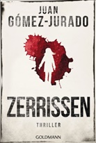 Juan Gómez-Jurado - Zerrissen