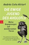 Andrés Cota Hiriart - Die ewige Jugend des Axolotls