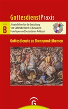 Christian Schwarz - Gottesdienstpraxis Serie B: Gottesdienste zu Brennpunktthemen