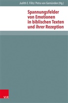 Martin Ebner, Martin Ebner u a, Judith E. Filitz, Petra von Gemünden, Peter Lampe, Heidrun Elisabeth Mader... - Spannungsfelder von Emotionen in biblischen Texten und ihrer Rezeption