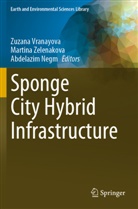 Abdelazim Negm, Zuzana Vranayova, Martina Zelenakova - Sponge City Hybrid Infrastructure