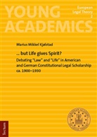 Marius Mikkel Kjølstad - ... but Life gives Spirit?