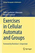 Tullio Ceccherini-Silberstein, Michel Coornaert - Exercises in Cellular Automata and Groups