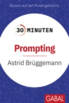 Astrid Brüggemann - 30 Minuten Prompting