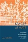 Colin Flint - Spaces of Hate