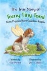Sue Meller - The True Story of Teeny Tiny Tomi