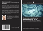 Mohammedabrar H. Malek - Avances evolutivos y metodológicos en la macromolécula dendrítica