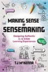 T. J. Mckenna, TJ McKenna - Making Sense of Sensemaking
