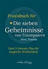 Anka Krätzig - Praxisbuch für Die sieben Geheimnisse von Traumpaaren ohne Trauma