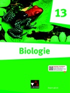 Sebastian Blaschke, Michael Bug, M Fischer-Geiger, Melanie Fischer-Geiger, Sabine Gern, Alina Hermann... - Biologie Bayern 13