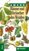 Gottfried Amann, Gottfried (Prof. Dr.) Amann, Claudia Summerer - Bäume und Sträucher des Waldes